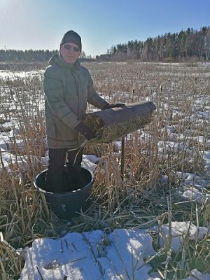 Kari Vuorinen kunnostetun pesän äärellä